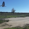 Varios lugares de Valdebótoa presentan un estado de abandono