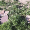 Varios lugares de Valdebótoa presentan un estado de abandono