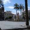 Cuestionan el talado de la palmera centenaria de la plaza de España de Mérida