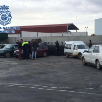 La Policía interviene 1.400 kilos de aceitunas robadas en seis vehículos