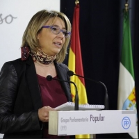 Teniente asegura que el PP “no pretende ser un obstáculo en los PGEx&quot;