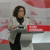 PSOE: “El Congreso no puede estar parado mientras se forma el nuevo gobierno”