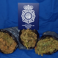 Detenido un joven de Mérida por traficar con marihuana