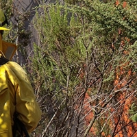Denuncian las críticas hacia los ganaderos por los incendios en el norte