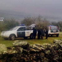 Once detenidos por robar aceitunas en tres explotaciones agrícolas de la región
