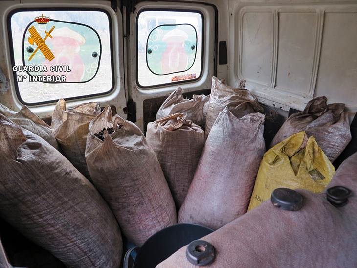 Los robos de aceitunas no cesan en la región