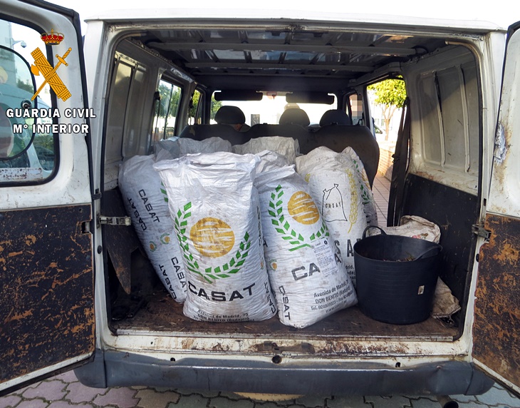 Un helicóptero de la Guardia Civil sorprende a 21 personas robando aceitunas