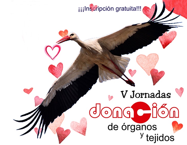 Zafra y Navalmoral acogerán unas jornadas sobre donación de órganos