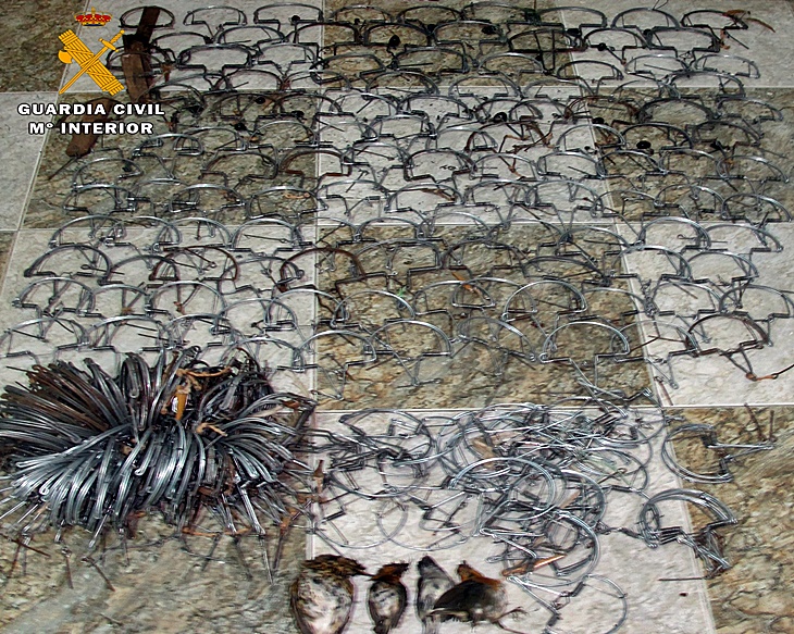 Sorprendido cuando cazaba pajarillos con artes ilegales