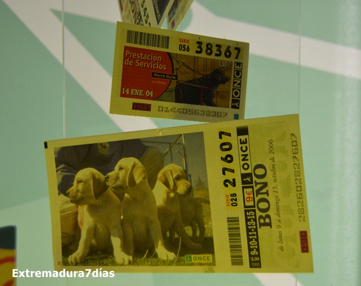 Los perros guía de la ONCE celebran 25 años al lado de los ciudadanos de Extremadura