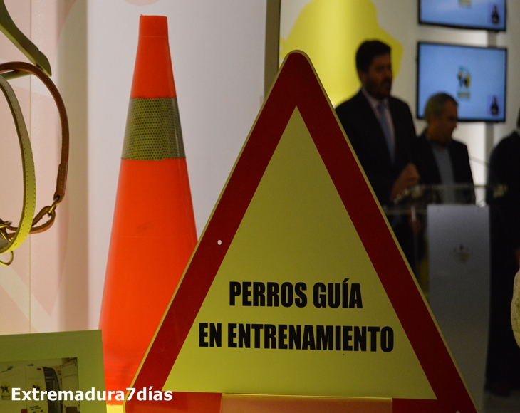 Los perros guía de la ONCE celebran 25 años al lado de los ciudadanos de Extremadura