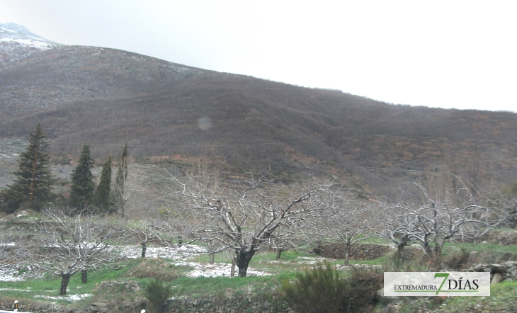 Cae menos nieve de la prevista en el norte de Cáceres