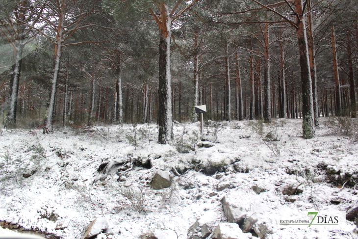 Cae menos nieve de la prevista en el norte de Cáceres