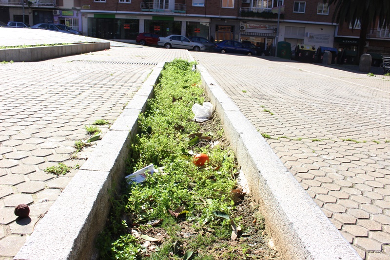 Los pacenses piden la rehabilitación de la Plaza de Santa Marta