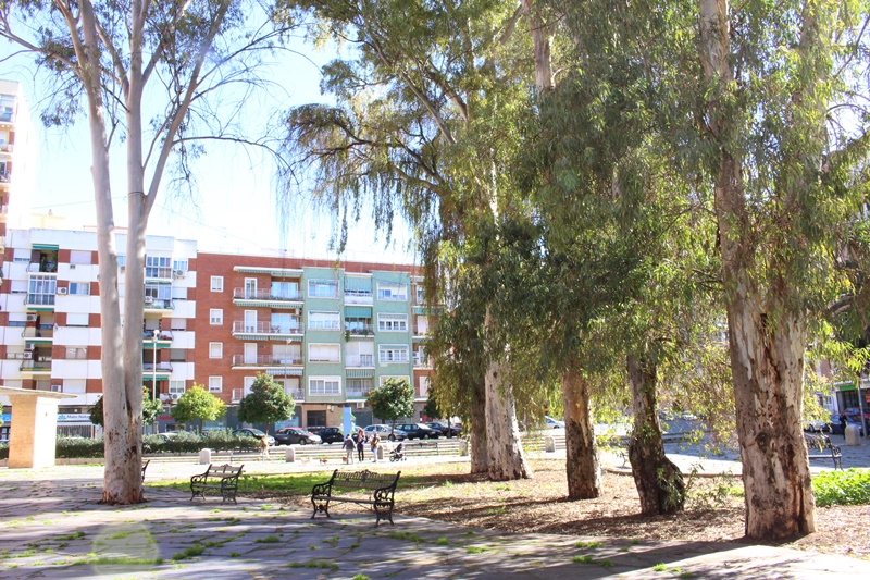 Los pacenses piden la rehabilitación de la Plaza de Santa Marta