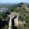 Monfragüe se convierte en la mayor colonia de buitres negros del mundo