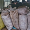 Detenidas 15 personas por el robo de 3000 kilos de aceitunas