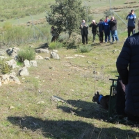Extremadura refuerza la genética de sus linces con la liberación de cinco ejemplares