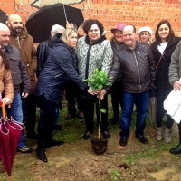 La Fiesta del Árbol de Villanueva de la Sierra, la más antigua del mundo