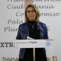 PP se muestra totalmente contrario a la eliminación de diputaciones