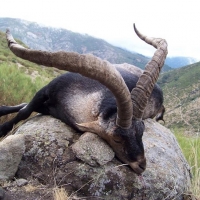 Denuncian la “mala gestión&quot; de la Reserva regional de Caza ‘La Sierra’