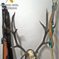 Cae un grupo dedicado al robo y a la tenencia ilegal de armas