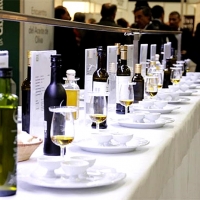 Empresas extremeñas olivareras estarán presentes en la Feria World Olive Exhibition