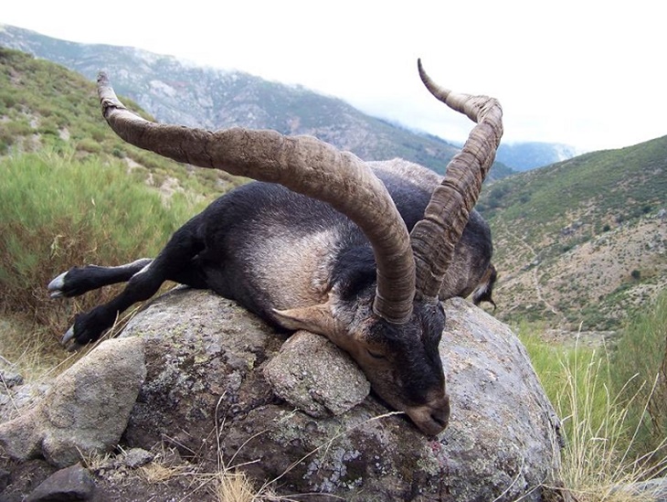 Denuncian la “mala gestión&quot; de la Reserva regional de Caza ‘La Sierra’