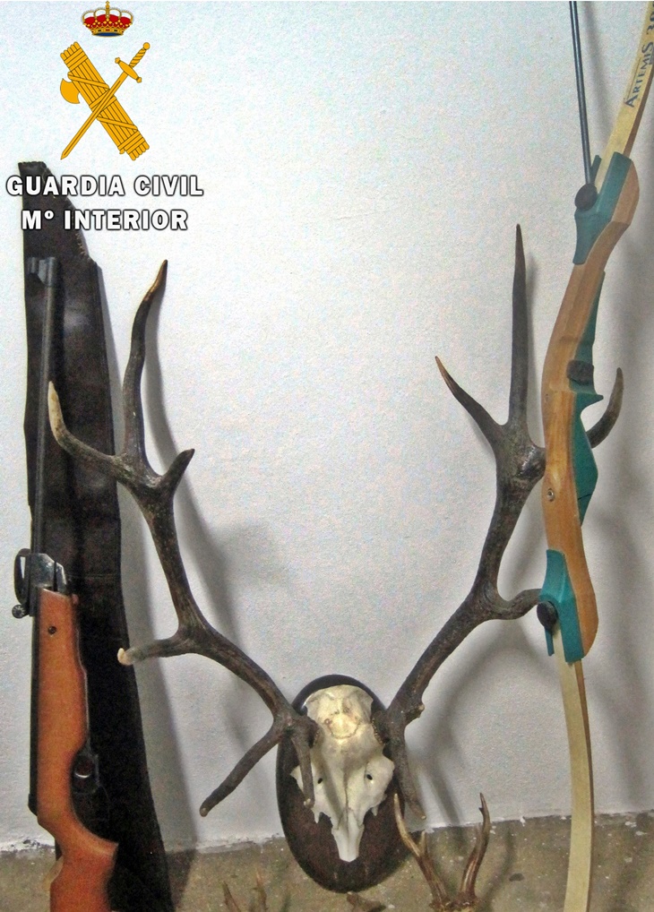 Cae un grupo dedicado al robo y a la tenencia ilegal de armas