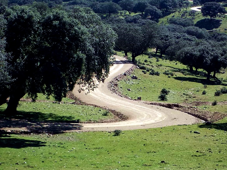 La Junta destina 60,5 millones al plan de caminos rurales