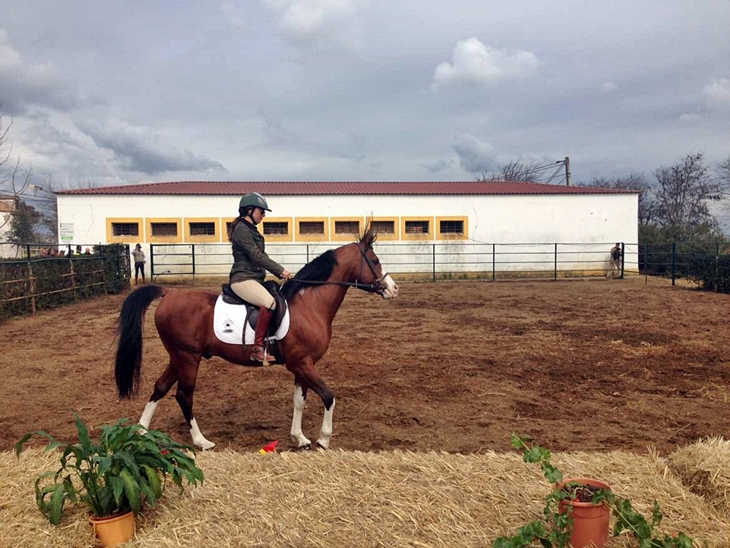 Begoña García resalta la importancia del sector equino extremeño