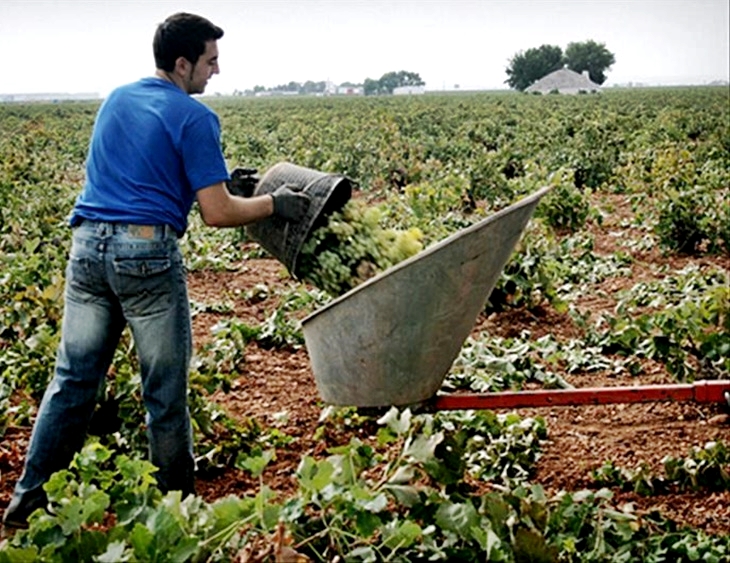 “La Junta sigue sin pagar a los agricultores”