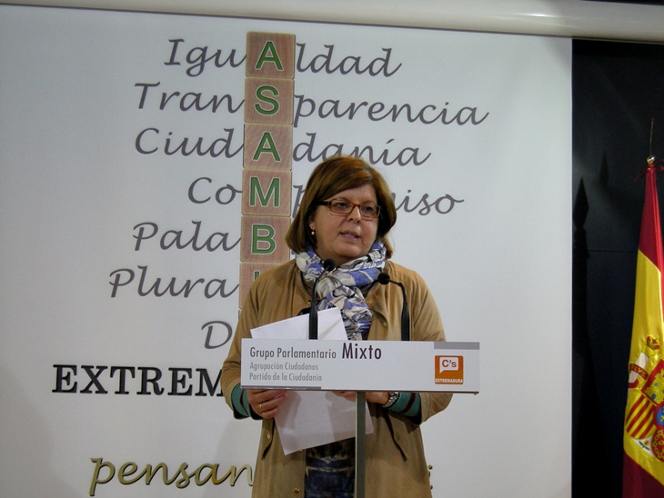 “85 enmiendas para que el compromiso político sea una realidad”