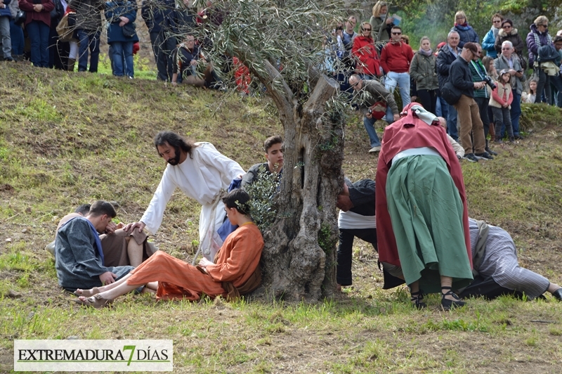 Imágenes de la XVII edición de la  Pasión Viviente de Alburquerque