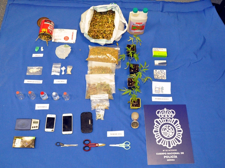 Desarticulado un grupo criminal dedicado a la venta de ketamina en la región