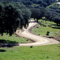 La Junta destina 60,5 millones al plan de caminos rurales