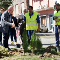 La Diputación suministra cerca de 90.000 árboles y plantas a municipios de Badajoz