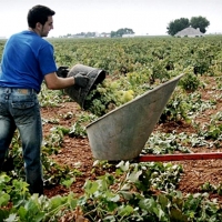 “La Junta sigue sin pagar a los agricultores”