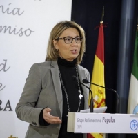 El PP presentará una enmienda parcial para “blindar” el Plan de Infraestructuras