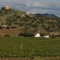 UPA-UCE denuncia los recortes en la PAC