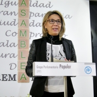 PP: “Gallardo tiene hoy más motivos que nunca para dimitir”