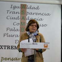 “85 enmiendas para que el compromiso político sea una realidad”