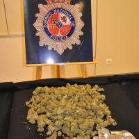 Desmantelada una plantación de marihuana en una nave industrial de Badajoz
