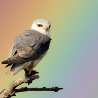 FIO da a conocer a los ganadores de su concurso fotográfico