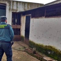 Un joven detenido por robar 70 palomas zuritas de una finca