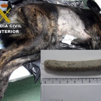 Detenido por dejar salchichas con agujas en un parque infantil