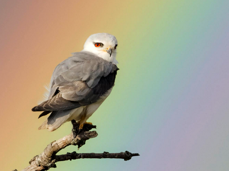 FIO da a conocer a los ganadores de su concurso fotográfico