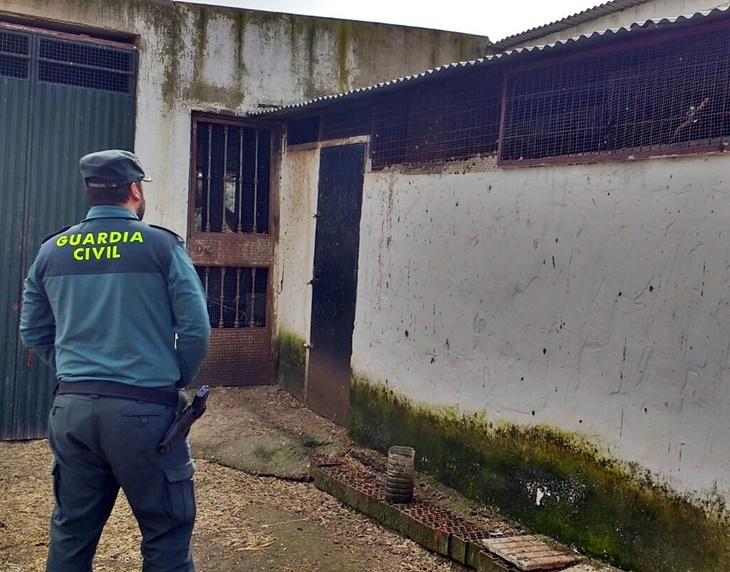 Un joven detenido por robar 70 palomas zuritas de una finca