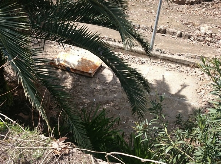 Exigen la limpieza y puesta en valor de los jardines de la Trinidad