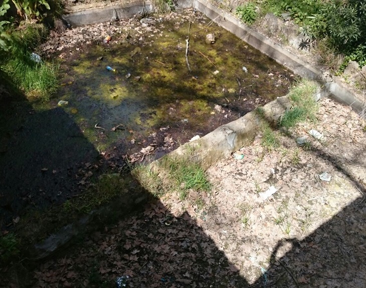 Exigen la limpieza y puesta en valor de los jardines de la Trinidad